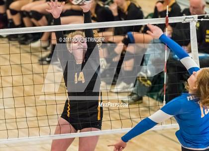 Thumbnail 3 in CCS Div2 Girls Volleyball Championship(Mountain View vs. Presentation) photogallery.
