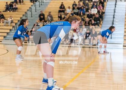 Thumbnail 3 in CCS Div2 Girls Volleyball Championship(Mountain View vs. Presentation) photogallery.