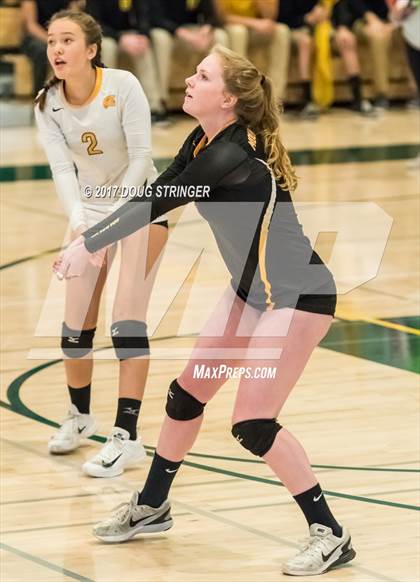 Thumbnail 1 in CCS Div2 Girls Volleyball Championship(Mountain View vs. Presentation) photogallery.