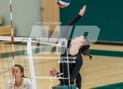 Thumbnail 3 in CCS Div2 Girls Volleyball Championship(Mountain View vs. Presentation) photogallery.