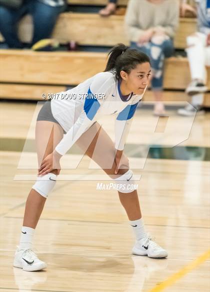 Thumbnail 1 in CCS Div2 Girls Volleyball Championship(Mountain View vs. Presentation) photogallery.