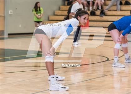 Thumbnail 1 in CCS Div2 Girls Volleyball Championship(Mountain View vs. Presentation) photogallery.