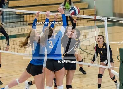 Thumbnail 1 in CCS Div2 Girls Volleyball Championship(Mountain View vs. Presentation) photogallery.