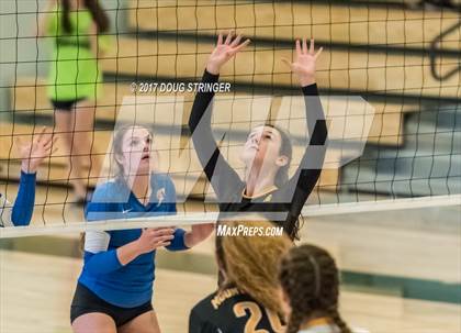 Thumbnail 2 in CCS Div2 Girls Volleyball Championship(Mountain View vs. Presentation) photogallery.