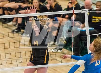 Thumbnail 2 in CCS Div2 Girls Volleyball Championship(Mountain View vs. Presentation) photogallery.
