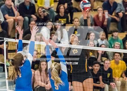 Thumbnail 3 in CCS Div2 Girls Volleyball Championship(Mountain View vs. Presentation) photogallery.