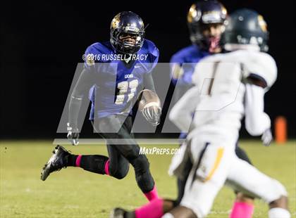 Thumbnail 2 in Ocean Lakes @ Tallwood photogallery.