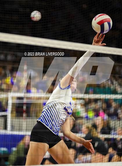 Thumbnail 1 in Briggsdale vs. Cheraw (CHSAA 1A Round 1) photogallery.