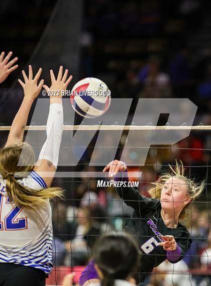 Thumbnail 1 in Briggsdale vs. Cheraw (CHSAA 1A Round 1) photogallery.