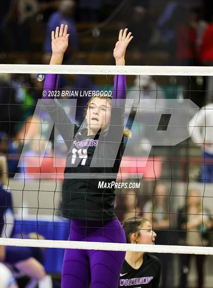 Thumbnail 1 in Briggsdale vs. Cheraw (CHSAA 1A Round 1) photogallery.
