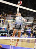 Photo from the gallery "Briggsdale vs. Cheraw (CHSAA 1A Round 1)"
