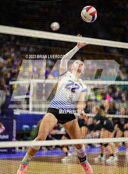 Thumbnail 3 in Briggsdale vs. Cheraw (CHSAA 1A Round 1) photogallery.