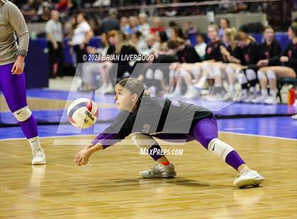 Thumbnail 1 in Briggsdale vs. Cheraw (CHSAA 1A Round 1) photogallery.