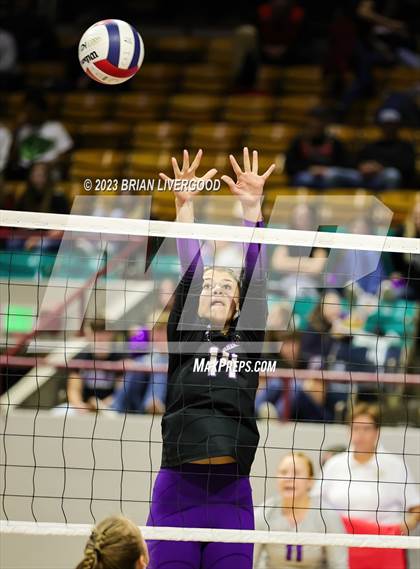 Thumbnail 3 in Briggsdale vs. Cheraw (CHSAA 1A Round 1) photogallery.