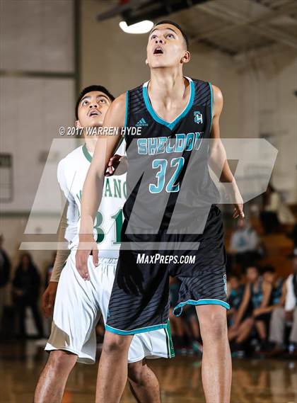 Thumbnail 1 in Sheldon @ Monterey Trail photogallery.