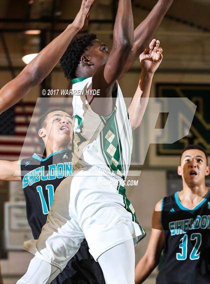 Thumbnail 1 in Sheldon @ Monterey Trail photogallery.