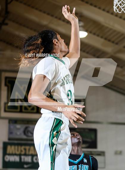 Thumbnail 3 in Sheldon @ Monterey Trail photogallery.