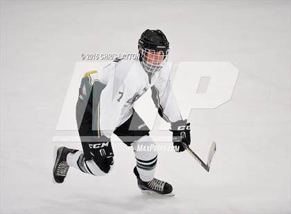 Thumbnail 3 in Mahopac @ Brewster/Yorktown photogallery.