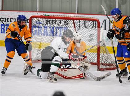 Thumbnail 3 in Mahopac @ Brewster/Yorktown photogallery.