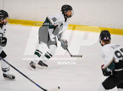 Thumbnail 3 in Mahopac @ Brewster/Yorktown photogallery.