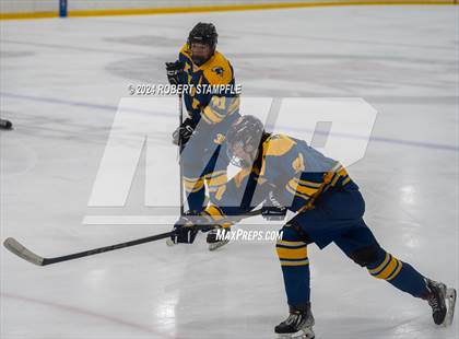 Thumbnail 1 in Kiski Area @ Shaler Area photogallery.