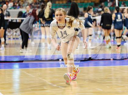 Thumbnail 3 in Pine Creek vs. Cherokee Trail (CHSAA 5A Round 1) photogallery.