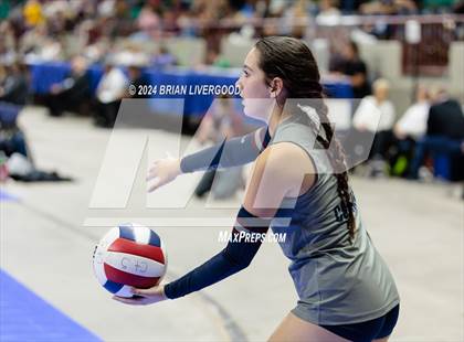 Thumbnail 3 in Pine Creek vs. Cherokee Trail (CHSAA 5A Round 1) photogallery.