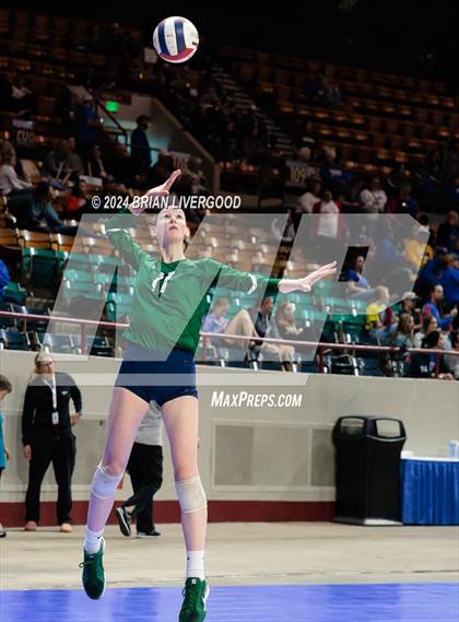 Thumbnail 2 in Pine Creek vs. Cherokee Trail (CHSAA 5A Round 1) photogallery.