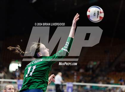 Thumbnail 3 in Pine Creek vs. Cherokee Trail (CHSAA 5A Round 1) photogallery.