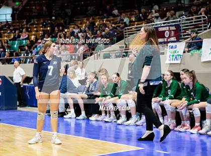 Thumbnail 2 in Pine Creek vs. Cherokee Trail (CHSAA 5A Round 1) photogallery.