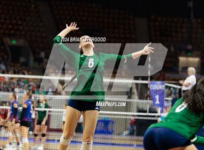 Thumbnail 1 in Pine Creek vs. Cherokee Trail (CHSAA 5A Round 1) photogallery.