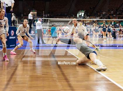 Thumbnail 1 in Pine Creek vs. Cherokee Trail (CHSAA 5A Round 1) photogallery.