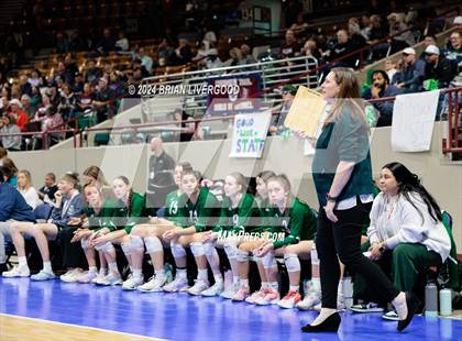 Thumbnail 1 in Pine Creek vs. Cherokee Trail (CHSAA 5A Round 1) photogallery.