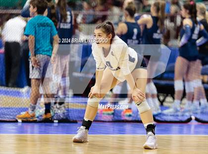 Thumbnail 3 in Pine Creek vs. Cherokee Trail (CHSAA 5A Round 1) photogallery.