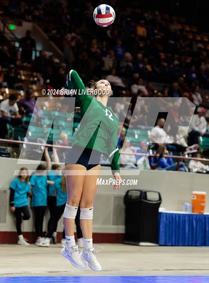 Thumbnail 3 in Pine Creek vs. Cherokee Trail (CHSAA 5A Round 1) photogallery.