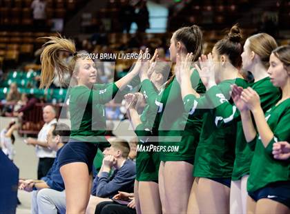 Thumbnail 2 in Pine Creek vs. Cherokee Trail (CHSAA 5A Round 1) photogallery.