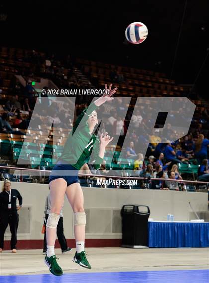 Thumbnail 1 in Pine Creek vs. Cherokee Trail (CHSAA 5A Round 1) photogallery.
