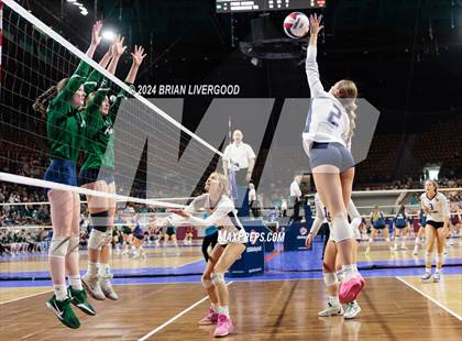 Thumbnail 1 in Pine Creek vs. Cherokee Trail (CHSAA 5A Round 1) photogallery.