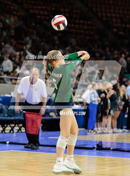 Thumbnail 3 in Pine Creek vs. Cherokee Trail (CHSAA 5A Round 1) photogallery.