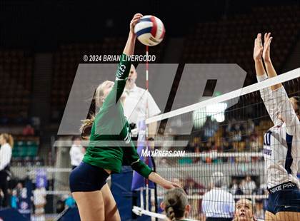 Thumbnail 1 in Pine Creek vs. Cherokee Trail (CHSAA 5A Round 1) photogallery.