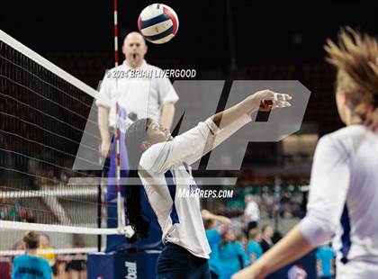 Thumbnail 1 in Pine Creek vs. Cherokee Trail (CHSAA 5A Round 1) photogallery.