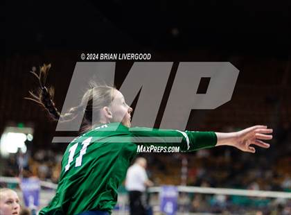 Thumbnail 1 in Pine Creek vs. Cherokee Trail (CHSAA 5A Round 1) photogallery.
