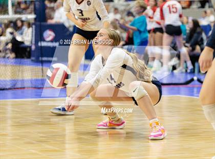 Thumbnail 3 in Pine Creek vs. Cherokee Trail (CHSAA 5A Round 1) photogallery.