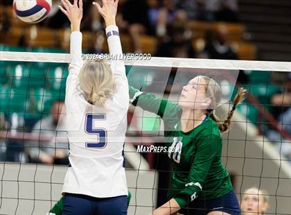 Thumbnail 1 in Pine Creek vs. Cherokee Trail (CHSAA 5A Round 1) photogallery.