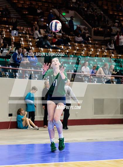Thumbnail 1 in Pine Creek vs. Cherokee Trail (CHSAA 5A Round 1) photogallery.