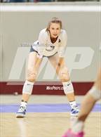 Photo from the gallery "Pine Creek vs. Cherokee Trail (CHSAA 5A Round 1)"