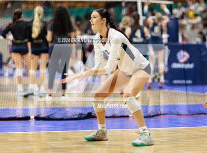 Thumbnail 1 in Pine Creek vs. Cherokee Trail (CHSAA 5A Round 1) photogallery.