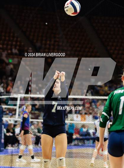 Thumbnail 3 in Pine Creek vs. Cherokee Trail (CHSAA 5A Round 1) photogallery.
