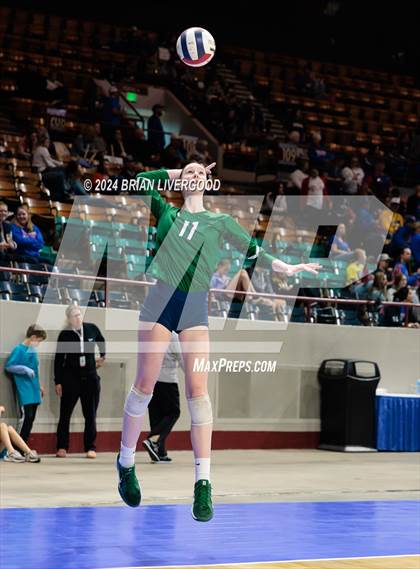 Thumbnail 3 in Pine Creek vs. Cherokee Trail (CHSAA 5A Round 1) photogallery.