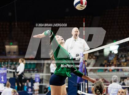 Thumbnail 3 in Pine Creek vs. Cherokee Trail (CHSAA 5A Round 1) photogallery.